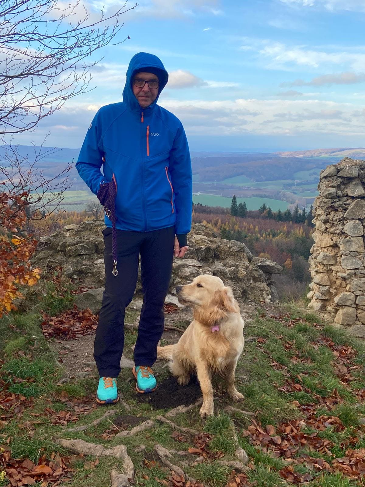 Meggie — detailní pohled na zlatého retrívra